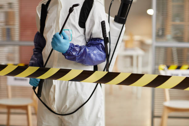 Professional Sewage Cleanup technician working in Smithton, IL